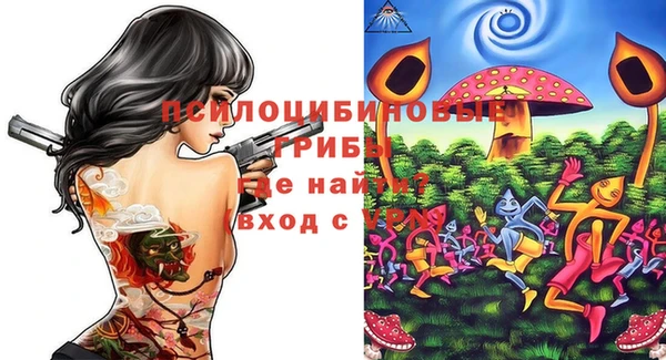 спиды Абаза