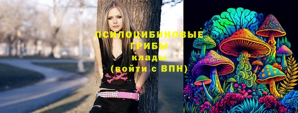 МДПВ Абдулино