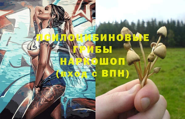 спиды Абаза